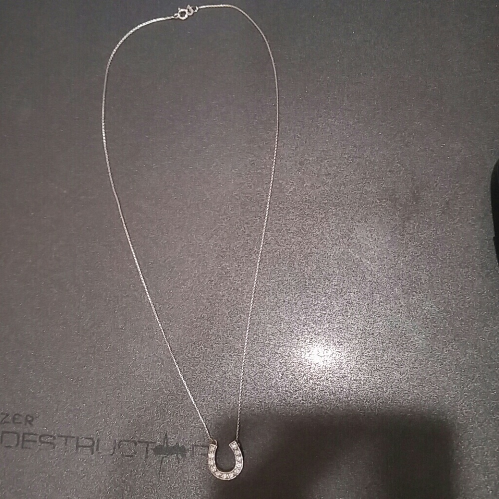 Horeshoe necklace